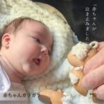 国産の天然木でつくられた、名入れ可能な「ひつじのガラガラ」。お孫さんへの出産祝いに安心して贈れる木のおもちゃ。