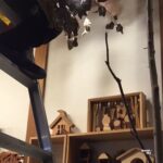 木のおもちゃが並ぶ工房の棚と、赤ちゃん用木製ガラガラ「QUARTER」。新年を迎える準備の中で撮影された、落ち着いた店内風景。